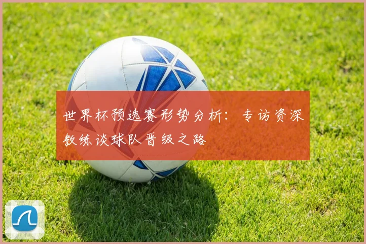 世界杯预选赛形势分析：专访资深教练谈球队晋级之路