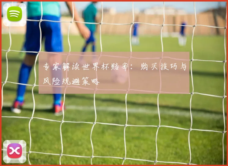 专家解读世界杯赔率：购买技巧与风险规避策略