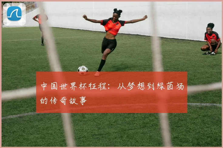 中国世界杯征程：从梦想到绿茵场的传奇故事