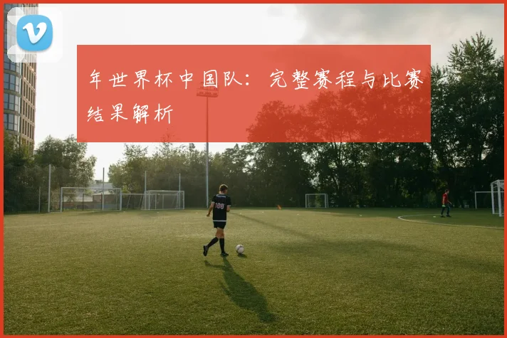 年世界杯中国队：完整赛程与比赛结果解析